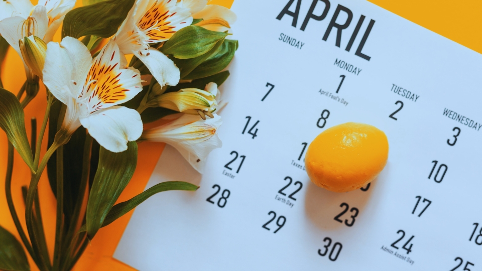 Newsletter April 2025